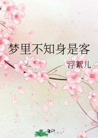 梦里不知身是客