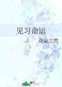 见习命运
