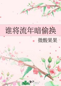 谁将流年暗偷换