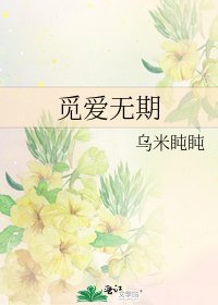 觅爱无期