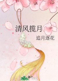 清風攬月