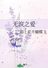 无涙之爱