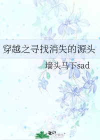 穿越之寻找消失的源头