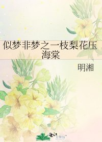 似梦非梦之一枝梨花压海棠