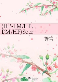 (HP-LM/HP、DM/HP)Secret of my heart