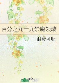 百分之九十九禁魔领域