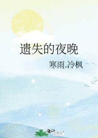 遗失的夜晚