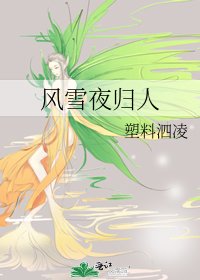 風雪夜歸人