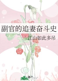 副官的追妻奋斗史