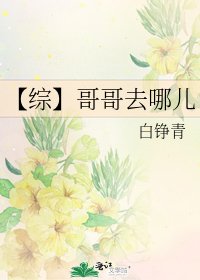【综】哥哥去哪儿