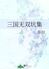 三国无双坑集