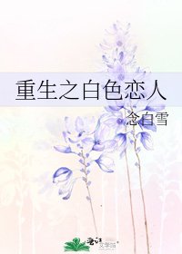 重生之白色恋人