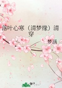落叶心寒(清梦缘)清穿