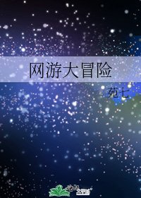 《网游大冒险》