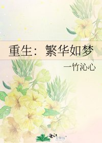 重生:繁华如梦
