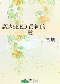 高达SEED 最初的爱