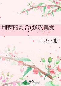 荆棘的离合(强攻美受)
