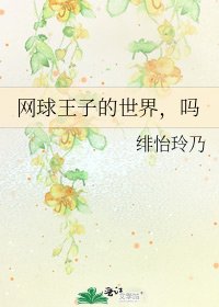网球王子的世界,吗