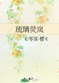 《琉璃荧岚》