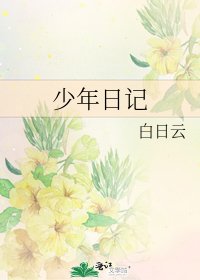 少年日记