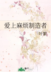 爱上麻烦制造者