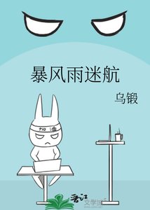 暴风雨迷航
