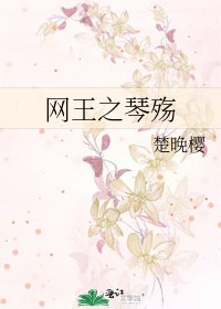 网王之琴殇