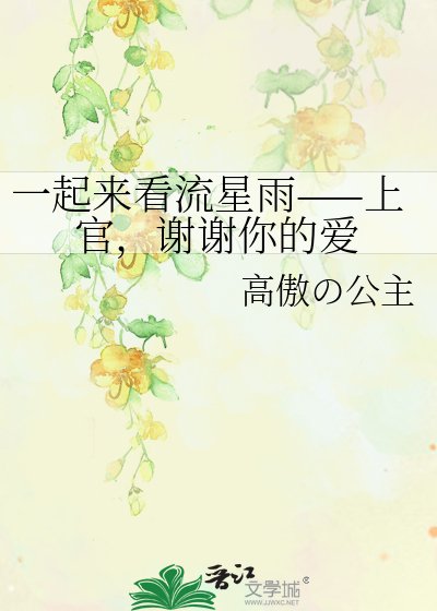一起来看流星雨——上官,谢谢你的爱