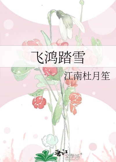 飞鸿踏雪