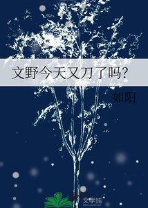 文野今天又刀了吗?