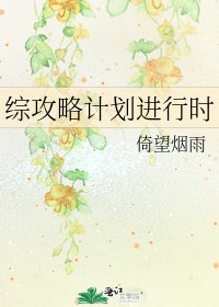 綜攻略計劃進行時