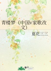 青楼梦(中国v家歌改文)