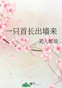 一只首长出墙来