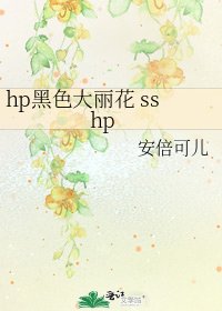 hp黑色大丽花 sshp