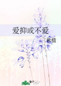 《爱抑或不爱》