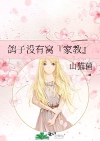 鸽子没有窝『家教』