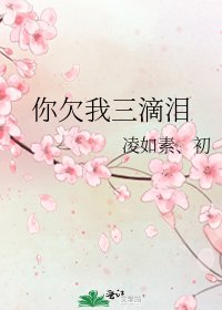 你欠我三滴淚