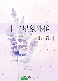 十二星象外传