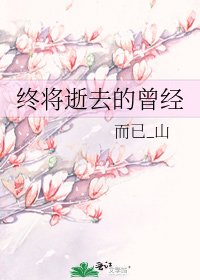 终将逝去的曾经
