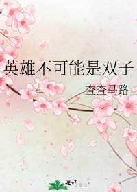 英雄不可能是雙子
