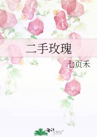 二手玫瑰