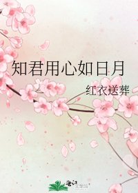 知君用心如日月