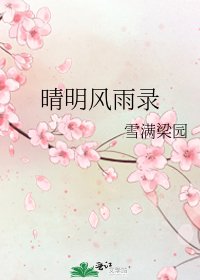 晴明风雨录