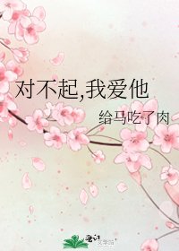 对不起,我爱他