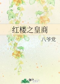红楼之皇商