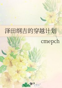 泽田纲吉的穿越计划