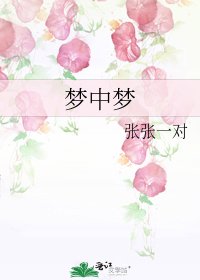 夢中夢