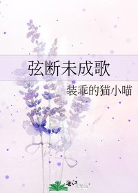絃斷未成歌