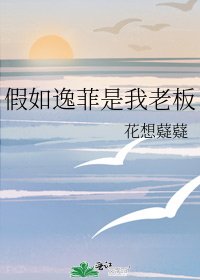 假如逸菲是我老板