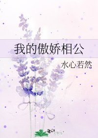 我的傲娇相公
